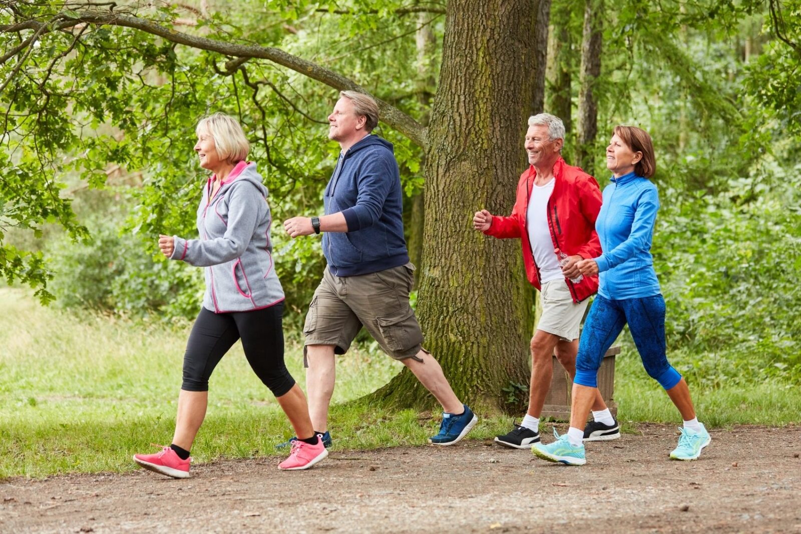 Den nuvarande bilden har ingen alternativ text. Filnamnet är: 40.jpg